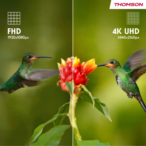 Tv led 43'' THOMSON 43UG4S14 - 11