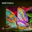 Image carousel