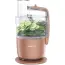 Image carousel