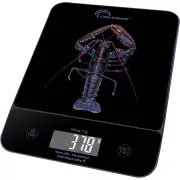 Balance de cuisine LITTLE BALANCE 8710