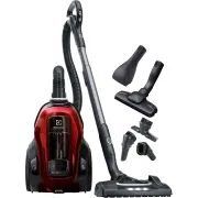 Aspirateur traineau sans sac ELECTROLUX PC91-ANIMA