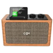 Radio portable CGV BEBOPDAB+