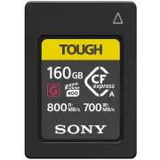 Cartes compact flash SONY CEAG 160 T SYM