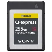 Cartes compact flash SONY CEBG 256 SYM