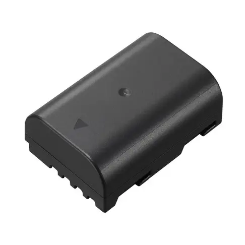 Batterie photo PANASONIC DMWBLF 19 E - 1