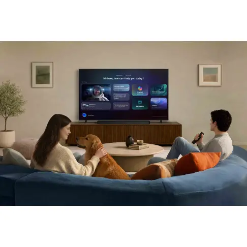 Tv led 65'' SAMSUNG TQ65QN80H - 11