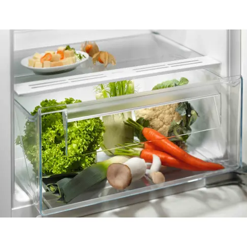 Réfrigérateur intégrable 1 porte ELECTROLUX LFB3DE12S - 4