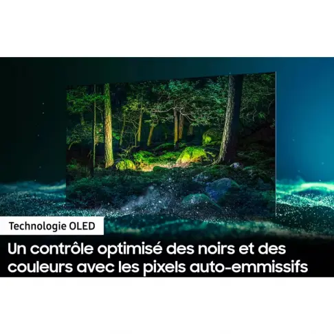 Téléviseur oled SAMSUNG QE65S95B - 9