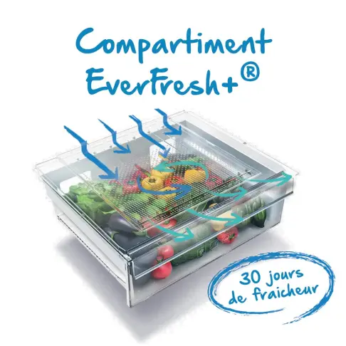 Réfrigérateur combiné inversé BEKO BRCNE50140ZXBN - 4