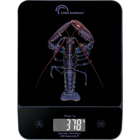 Balance de cuisine LITTLE BALANCE 8710 - 2
