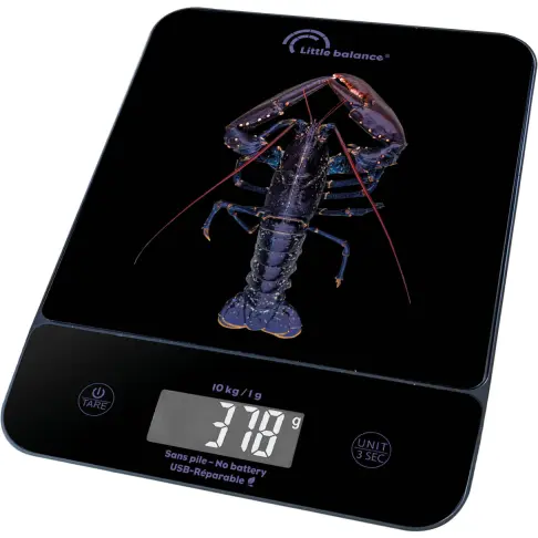 Balance de cuisine LITTLE BALANCE 8710 - 1