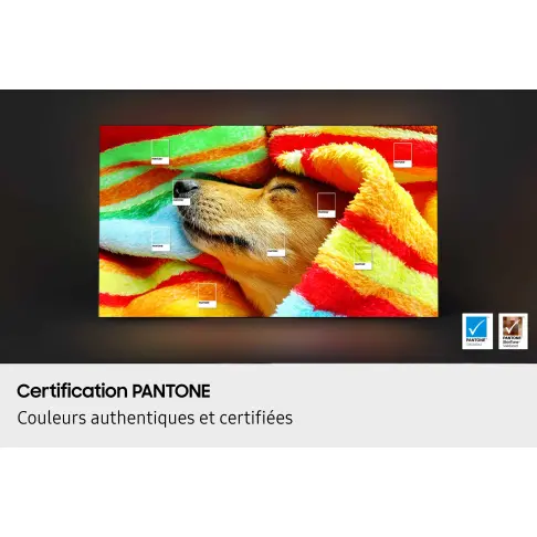 Tv oled 83'' SAMSUNG TQ83S85F - 8