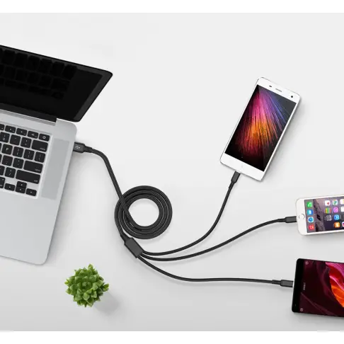 Câble de charge AKASHI ALT5N1PLABK - 2