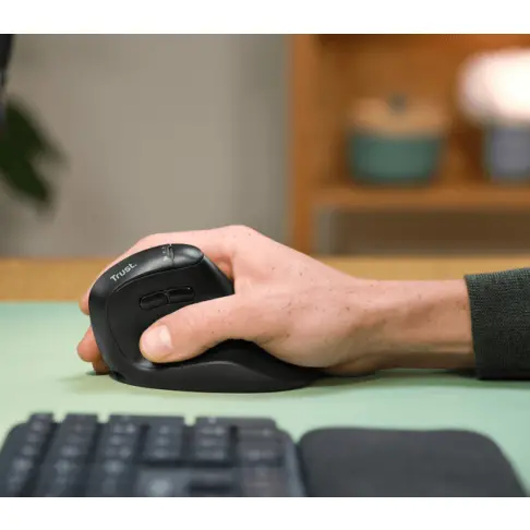 Souris TRUST 26107 - 7