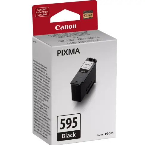 Consommable CANON PG-595 - 2