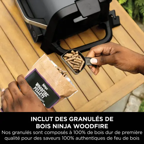 Barbecue / fumoir NINJA OG701EU - 10