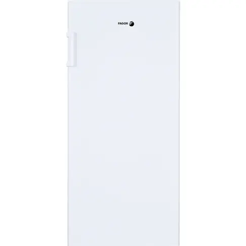 Réfrigérateur 1 porte FAGOR FSP190FW - 1