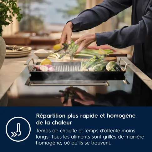 Acc. et consommables plaque et domino ELECTROLUX E9HHPG11 - 5