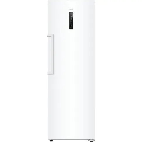 Congélateur armoire HAIER H4F272WEH1 - 1