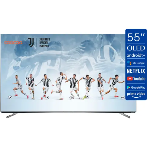 Tv oled 55 pouces  55S8G - 9
