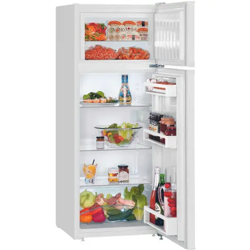 Réfrigérateur 2 portes LIEBHERR CTP231-21 - 1