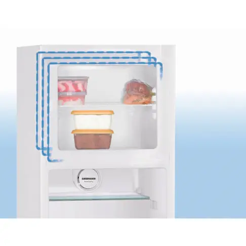 Réfrigérateur 2 portes LIEBHERR CTP231-21 - 2