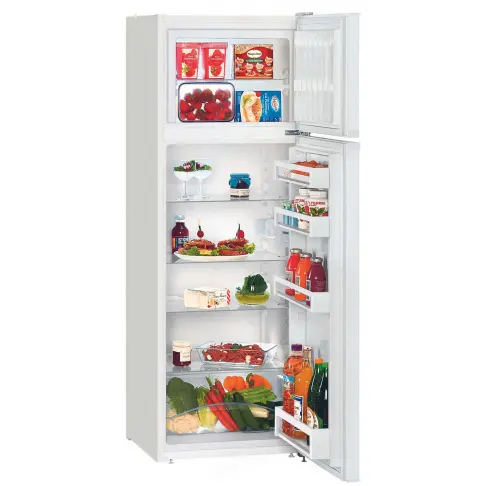 Réfrigérateur 2 portes LIEBHERR CTP 251-21 - 1