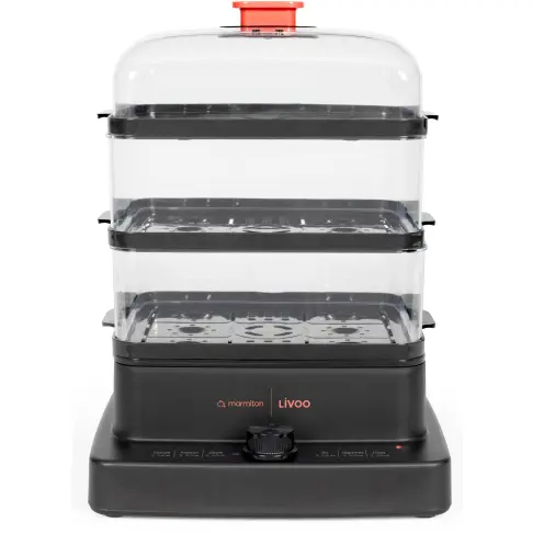 Cuiseur vapeur LIVOO DOC300 - 1