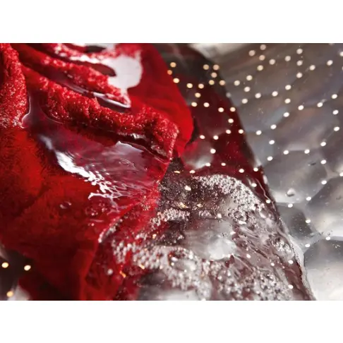 Lave-linge frontal MIELE WCD020 - 4