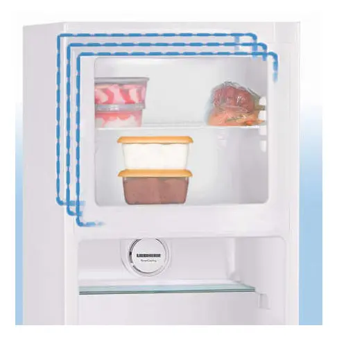 Réfrigérateur 2 portes LIEBHERR CTPEL 251-21 - 5