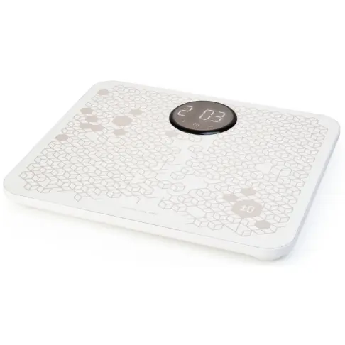 Massage TERRAILLON POWERMASSAGER - 1
