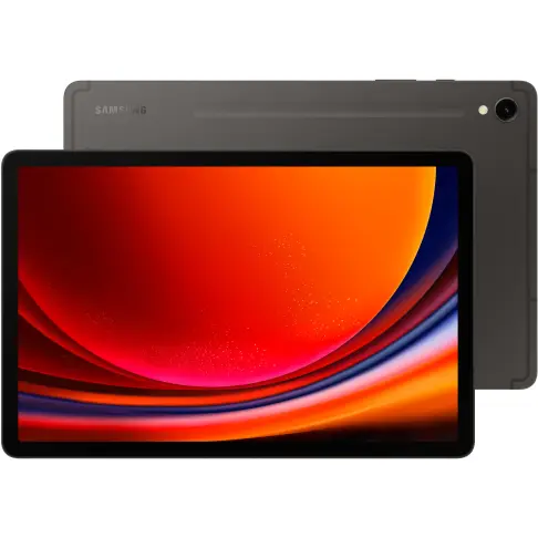 Samsung Galaxy Tab S9 Anthracite 128 Go - SM-X710NZAAEUB - 1
