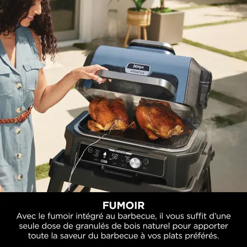 Barbecue / fumoir NINJA OG901EU - 8