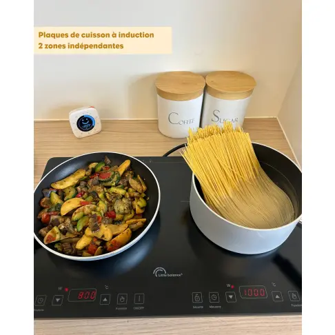 Réchaud LITTLE BALANCE 8858 - 4