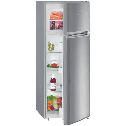 Réfrigérateur 2 portes LIEBHERR CTPEL231-21 - 2