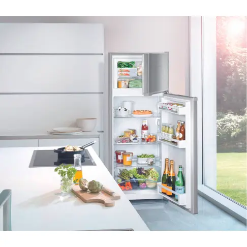 Réfrigérateur 2 portes LIEBHERR CTPEL231-21 - 5