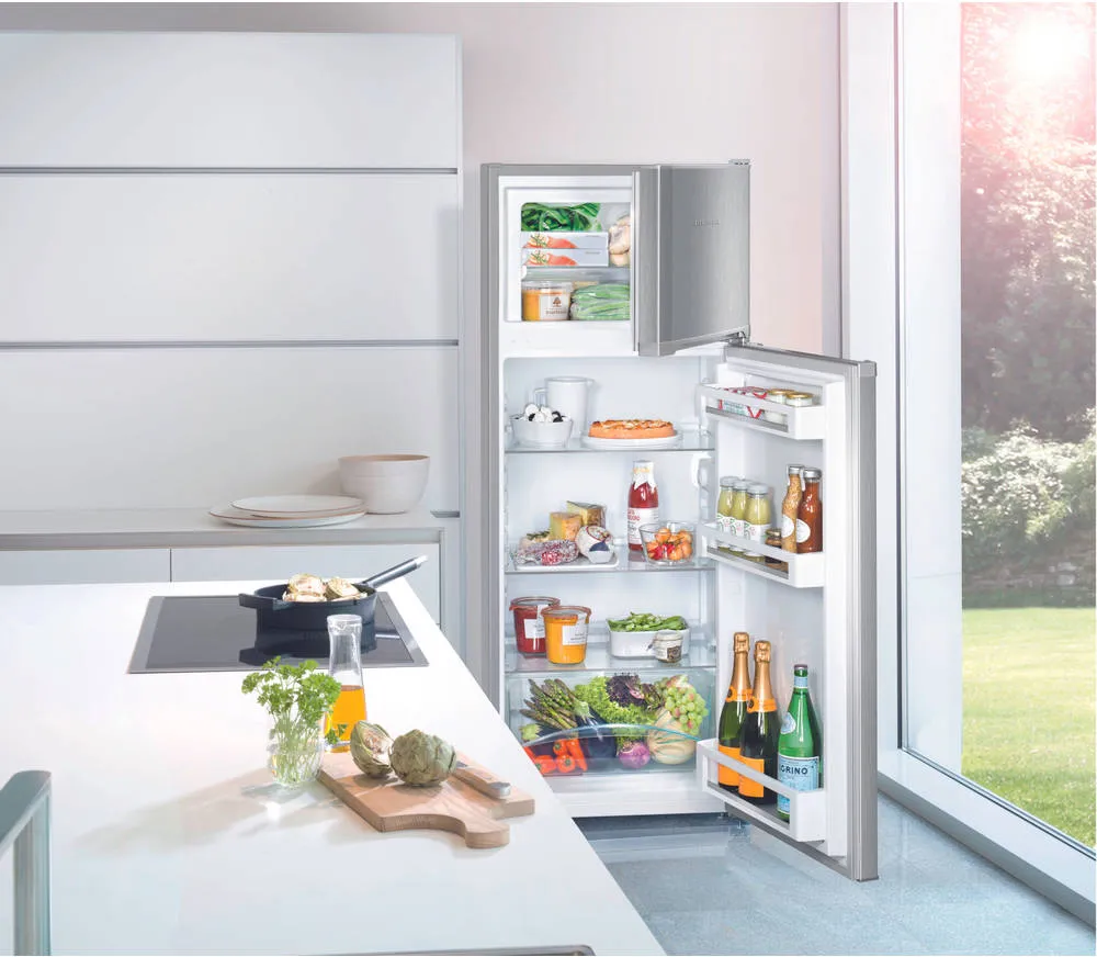 Réfrigérateur 2 portes LIEBHERR CTPEL231-21 - MDA