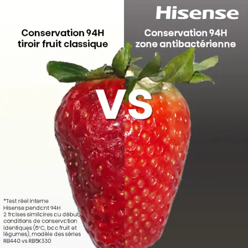 Réfrigérateur combiné intégré HISENSE RB3B250SAWE - 14