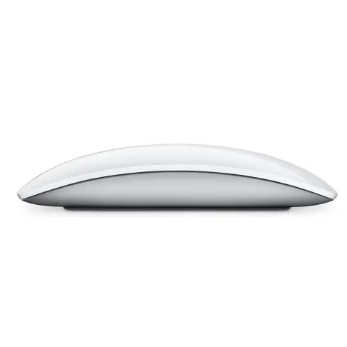 Souris APPLE MXK53Z/A - 4