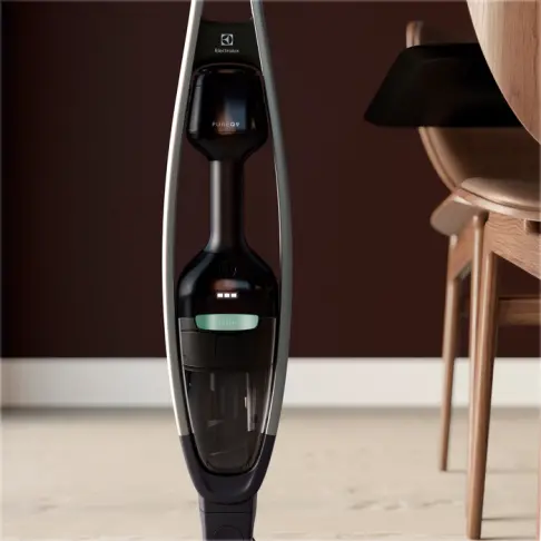 Aspirateur balai ELECTROLUX PQ91-GREEN - 2