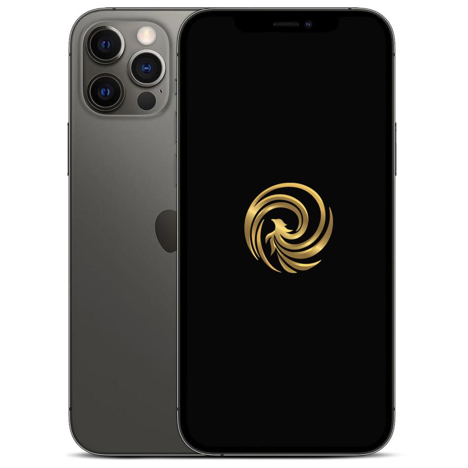 Smartphone reconditionné  IP12PRO128GS